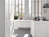 PVC Kitchen Cabinets