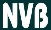 Kitchen Cabinet Manufacturers In Vietnam: NVB