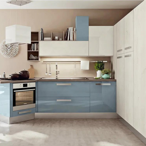 Acrylic Kitchen Cabinets