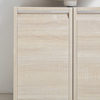 Double Door Bathroom Cabinets